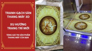 Sàn thang máy 3D